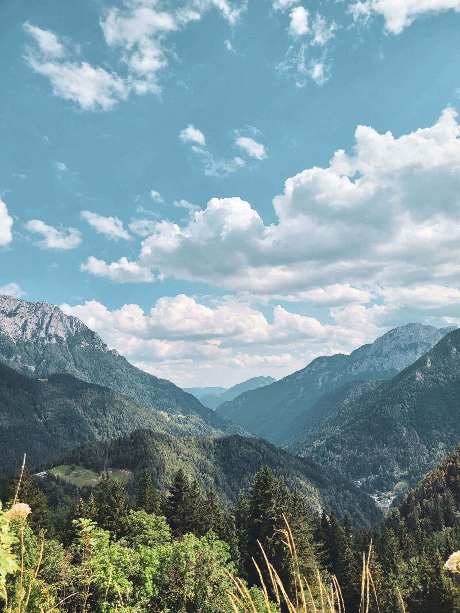 Vue sur les montagne et la vallée depuis la route panoramique Solcava, Slovénie