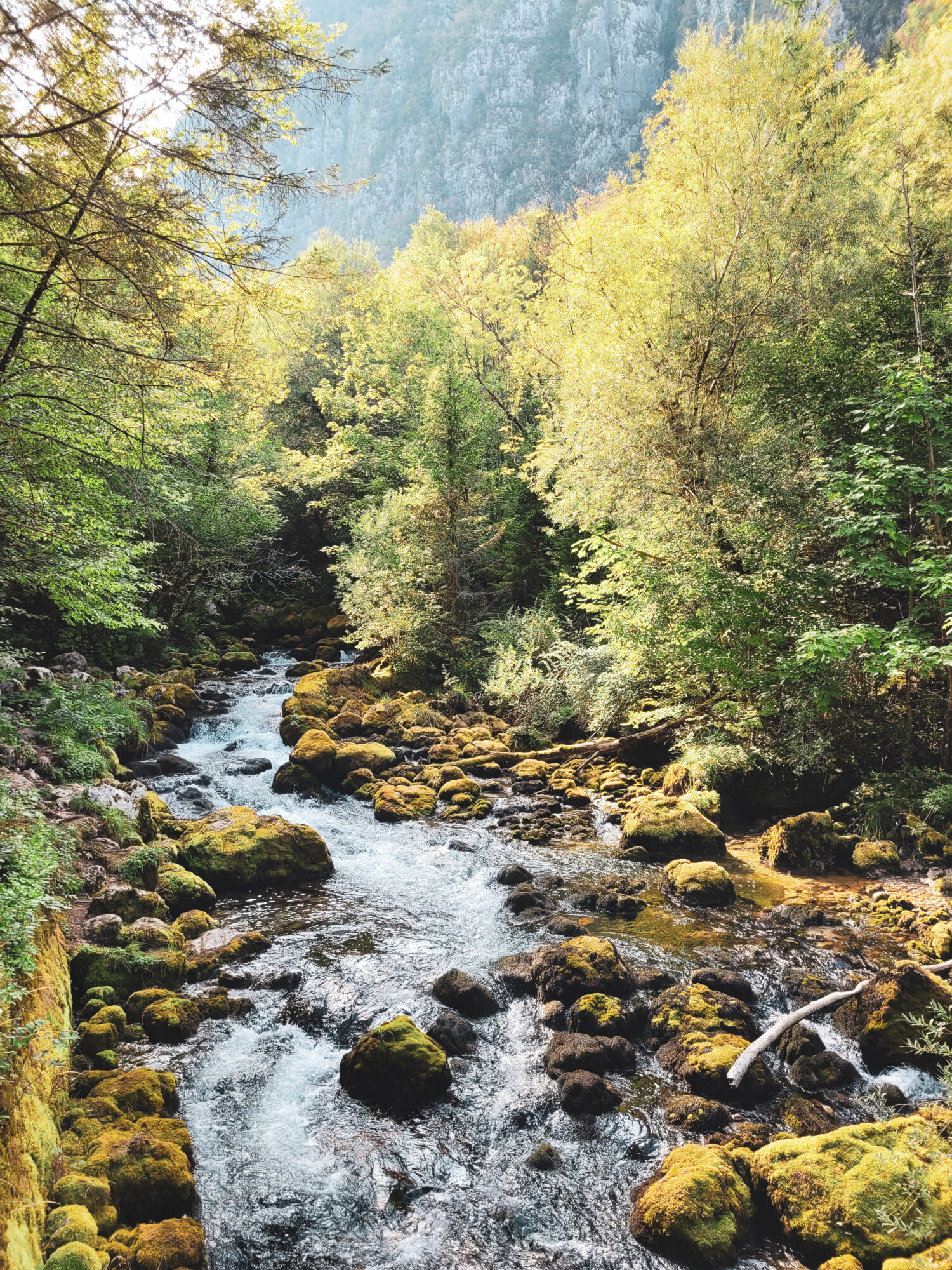 La rivière qui s'écoule depuis la cascade Virje, Slovénie