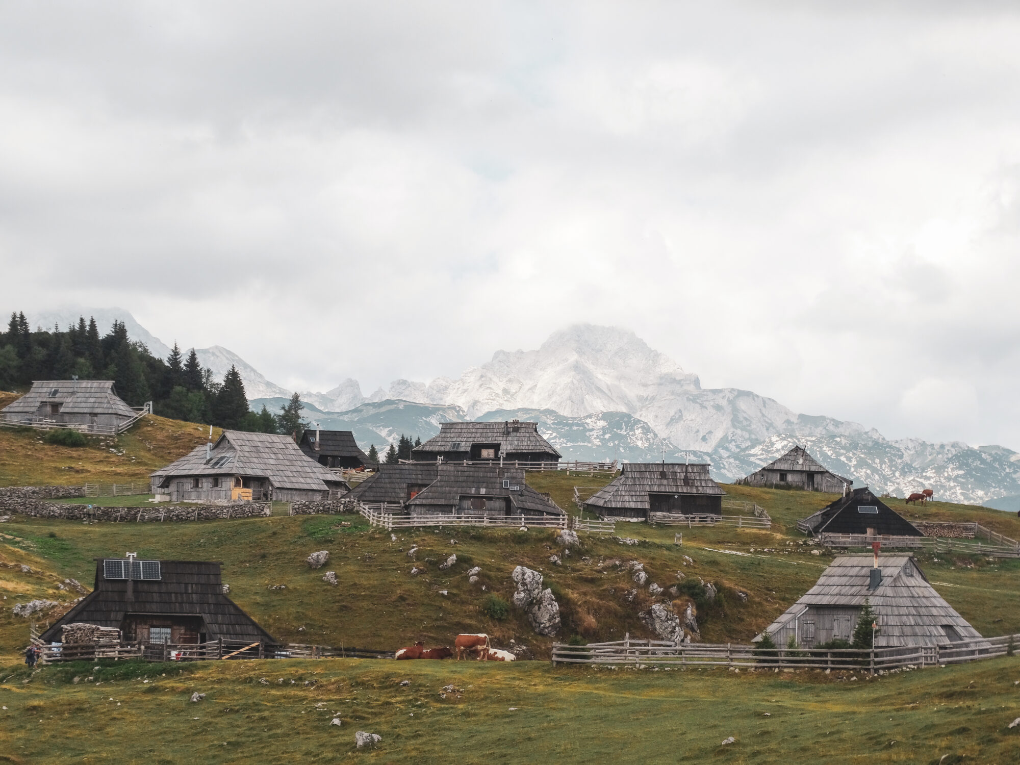 Vue sur Velika planina avec les montagnes en toile de fond, Slovénie