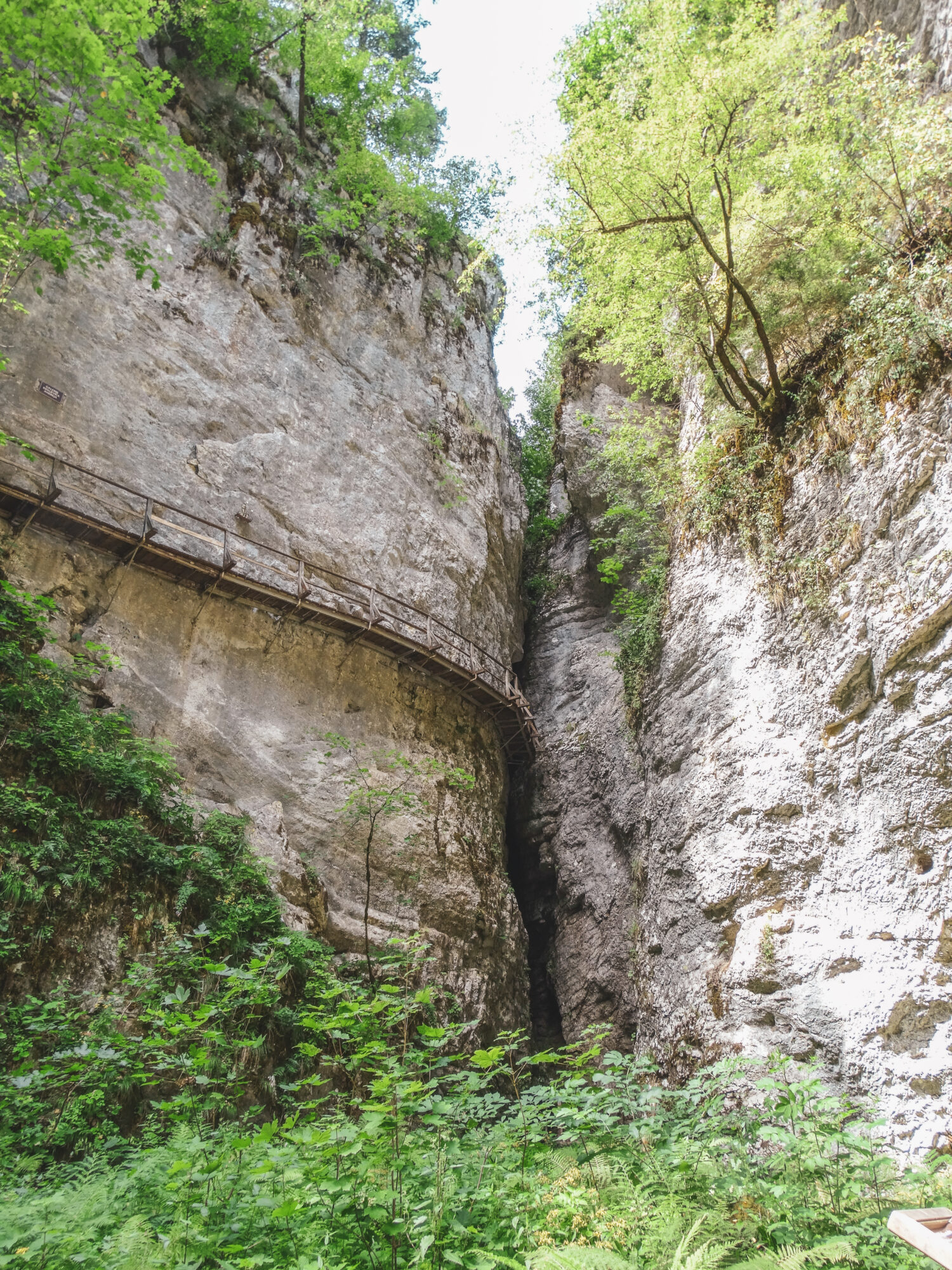 Passerelle en bois en dessus des gorges de Pokljuka, Slovénie