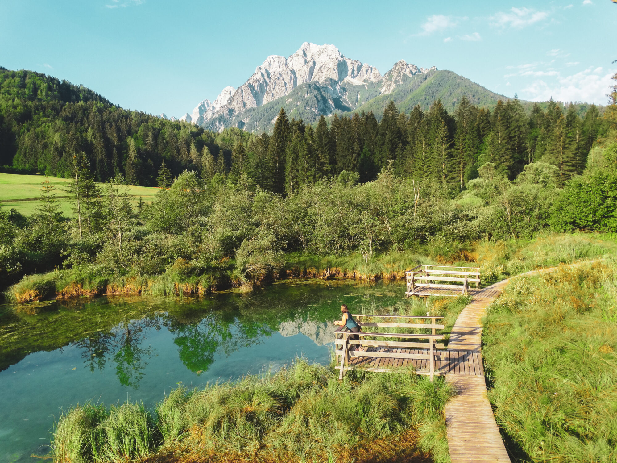 La réserve naturelle Zelenci, Slovénie